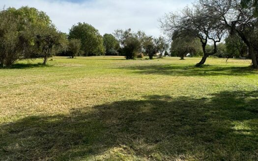 559 Terreno en venta en Edén Los Sabinos