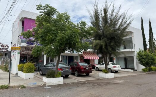 052 Local en renta en paseos de Aguascalientes.