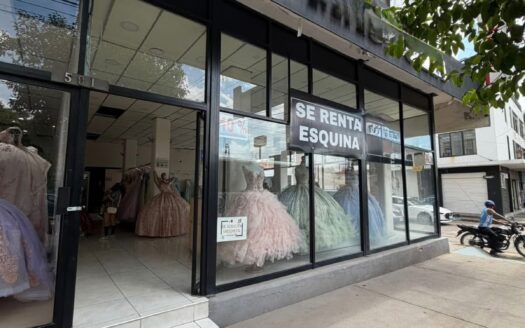 LOCAL COMERCIAL SOBRE AV. LÓPEZ MATEOS