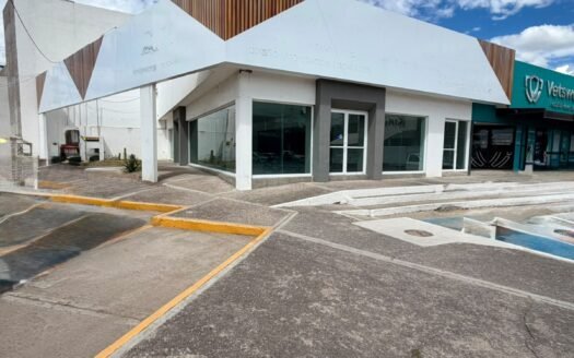 LOCAL COMERCIAL EN RENTA BOSQUES DEL PRADO NORTE